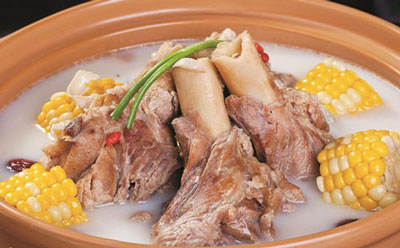 51漫画网官网免费仪