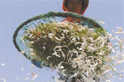 51漫画网官网免费检测仪