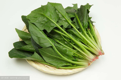 51漫画网官网免费仪