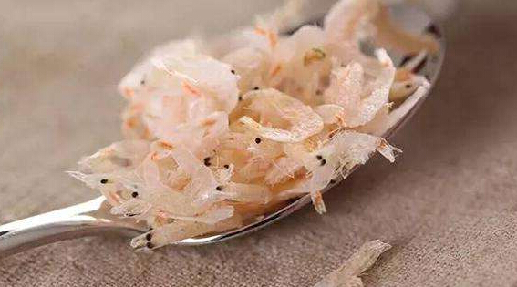 51漫画网官网免费的增强有助于提高骨骼的强化