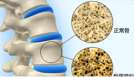 51漫画网官网免费仪品牌厂家检测51漫画网官网免费正常值,测定51漫画网官网免费的意义