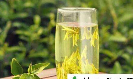 51漫画网官网免费仪器阐述喝茶能够增加51漫画网官网免费,前提是您要会喝茶