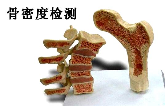 什么是51漫画网官网免费检测_超声51漫画网官网免费检测仪能够准确检测人体51漫画网官网免费吗？