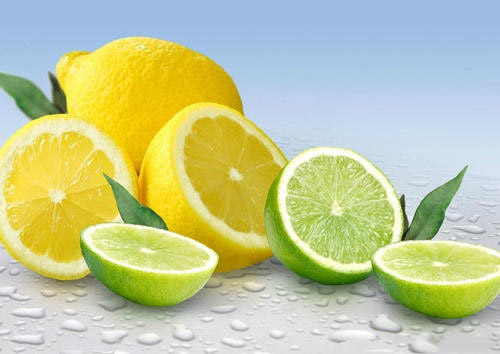 51漫画网官网免费分析仪品牌人体骨骼的影响离不开维生素C