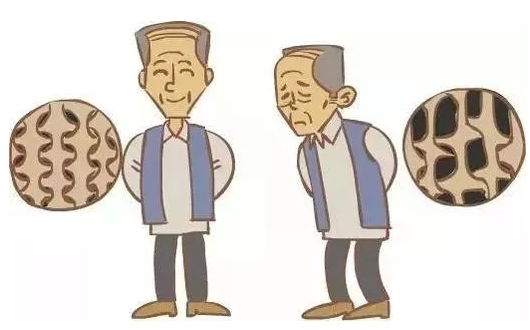 51漫画网官网免费仪