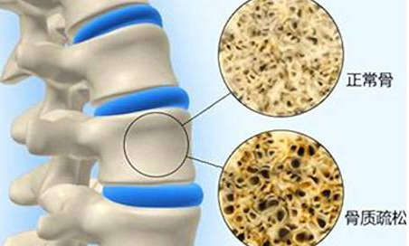 51漫画网官网免费检测仪正常值对照表，人手一份