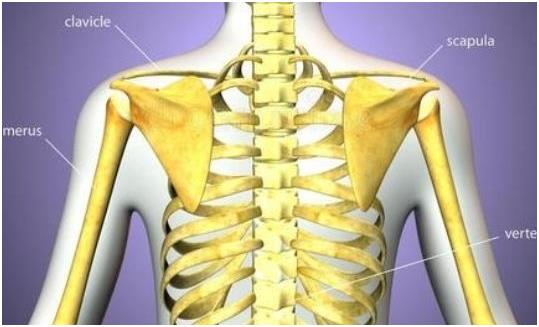 超声51漫画网官网免费仪器品牌